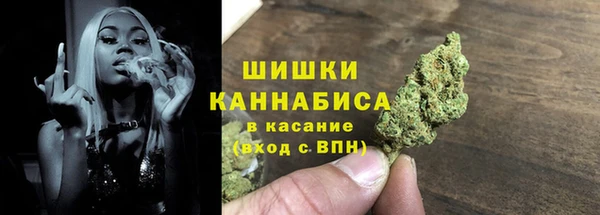 спайс Богданович