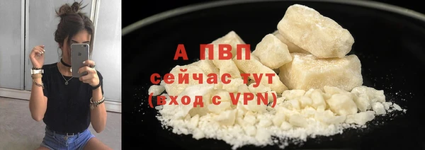 соль ск Пересвет