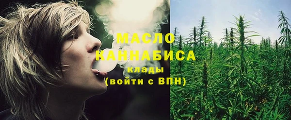 дмт Осташков