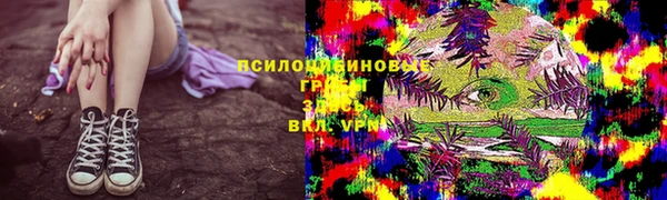 СК Осинники
