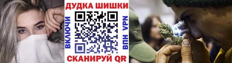 купить закладку  Югорск  Канабис сатива 